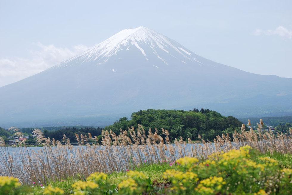 広告募集